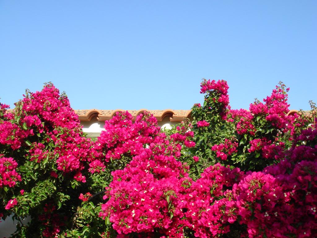 Monte Dos Arneiros Otel Lavre Dış mekan fotoğraf